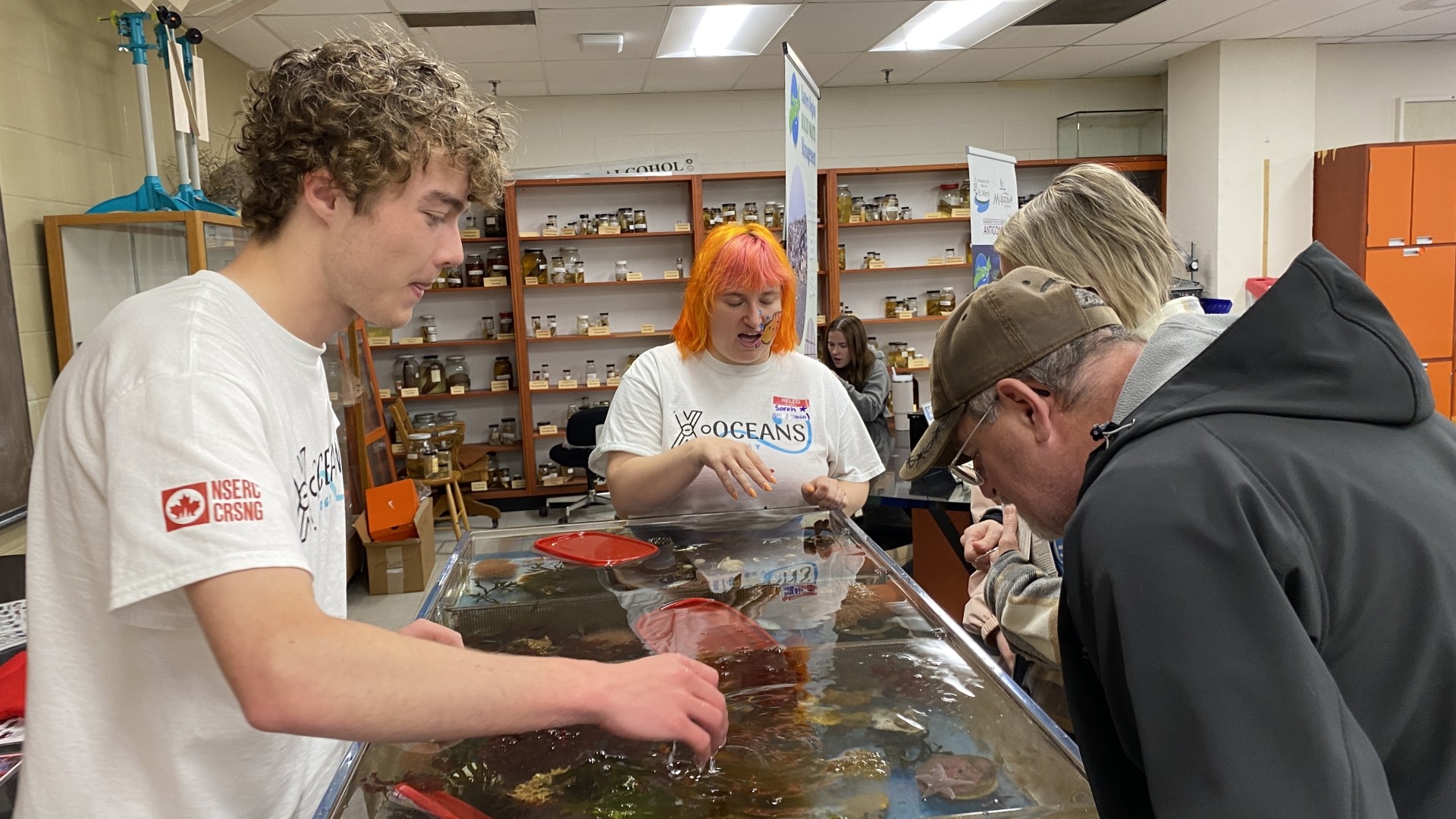 People looking at a touch tank on World Oceans Day 2024