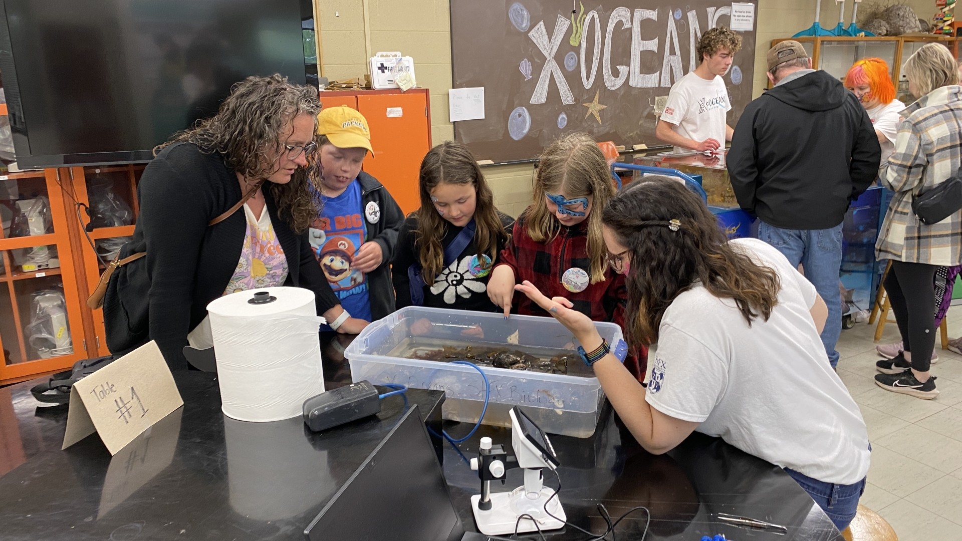 People looking at a touch tank on World Oceans Day 2024