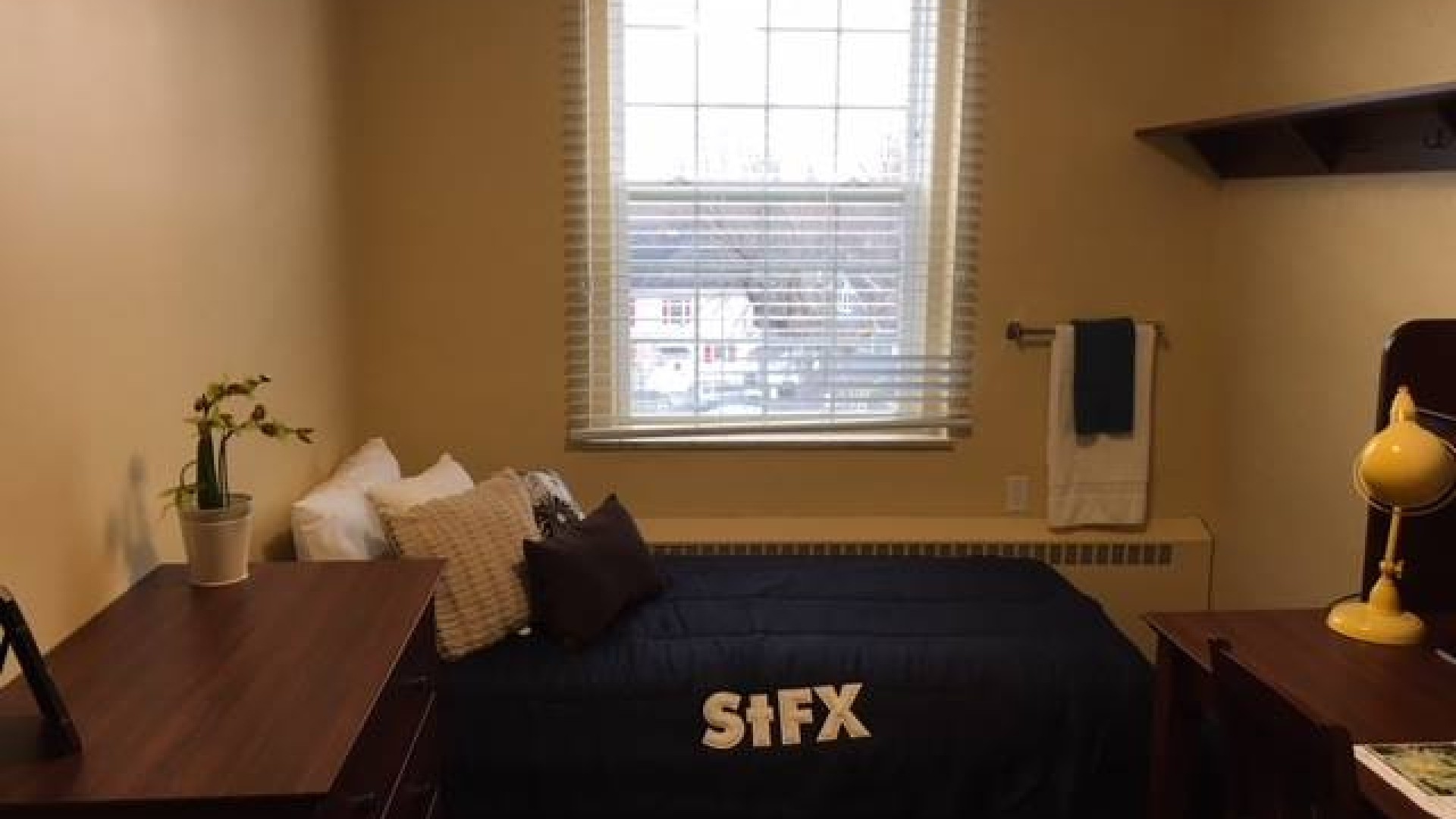 Single standard room in MSB with bed, dresser and desk