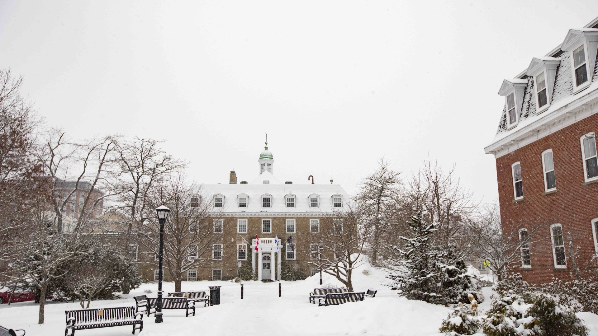 winter storm