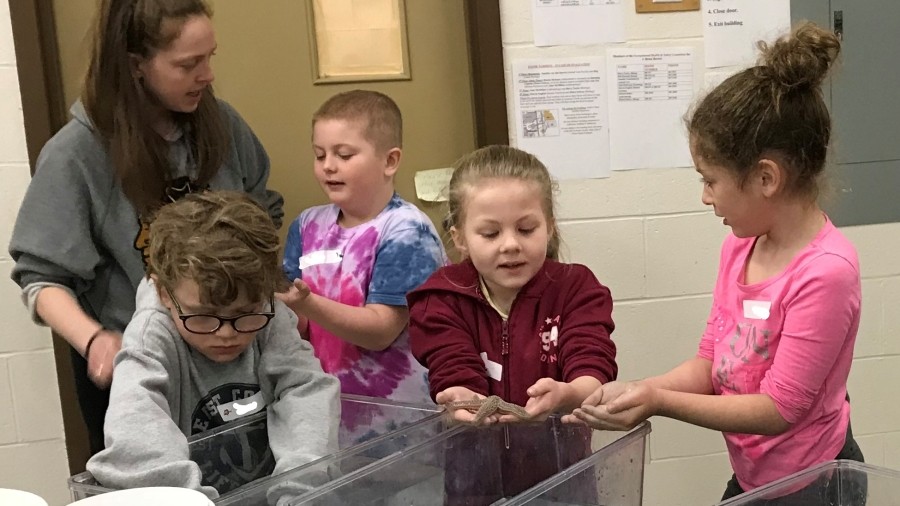 School Students Observing and Handling Starfish
