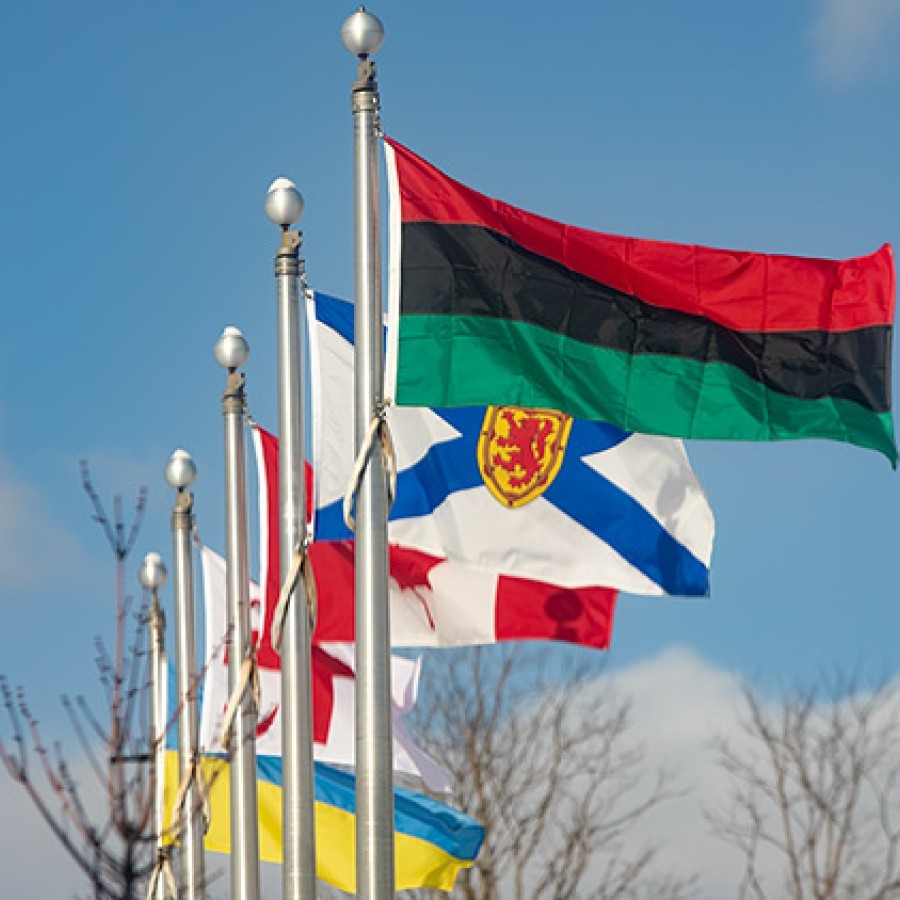 African Heritage Month flag