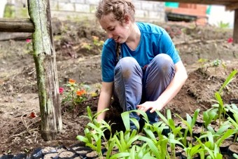 Person gardening