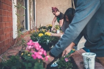 People planting flowers near window sill