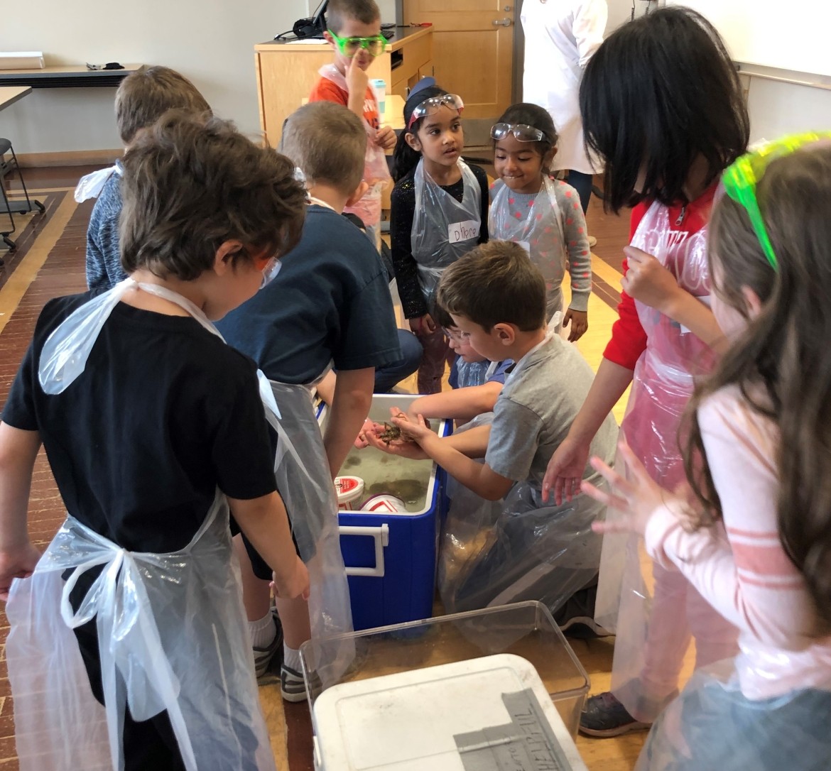 Students Grabbing Sea Animals