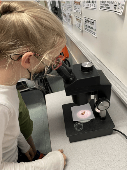 Student Observing a Sample Using a Microscope
