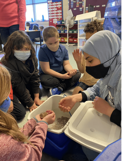 Students Grabbing Marine Animals