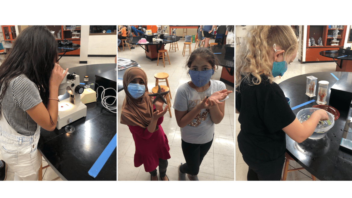 Collage of Students Learning and Practicing their Knowledge at the Lab