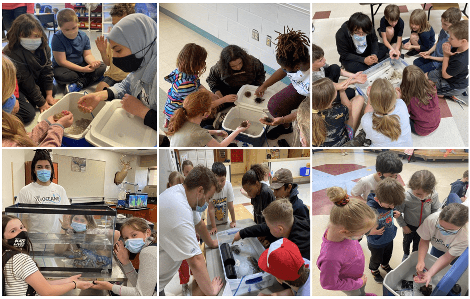 X-Oceans Student Leaders Instructing School Students About Sea Creatures and Biology