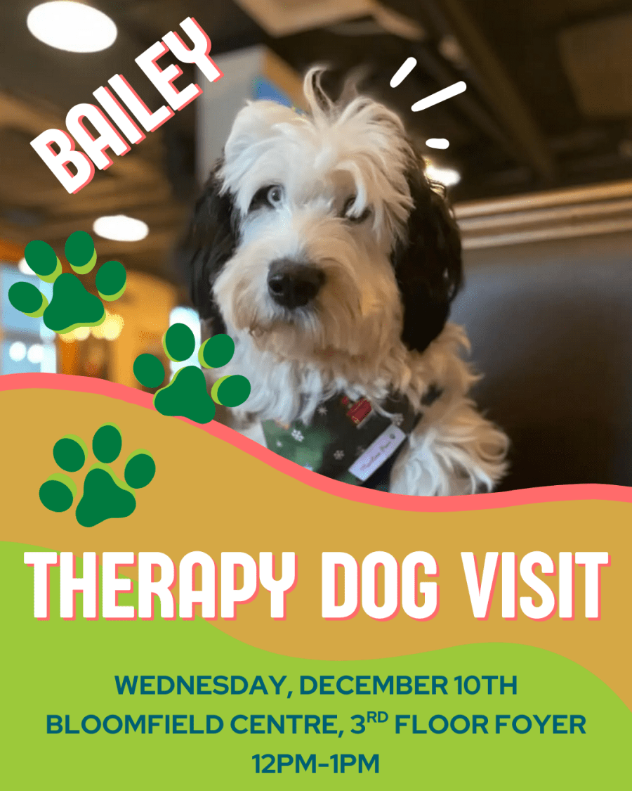 Picture of black and white Sheepadoodle dog with text inviting reader to Therapy Dog Visit