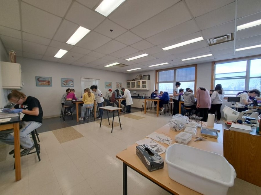 Students Practicing Dissections at the Nova Scotia Education Centre