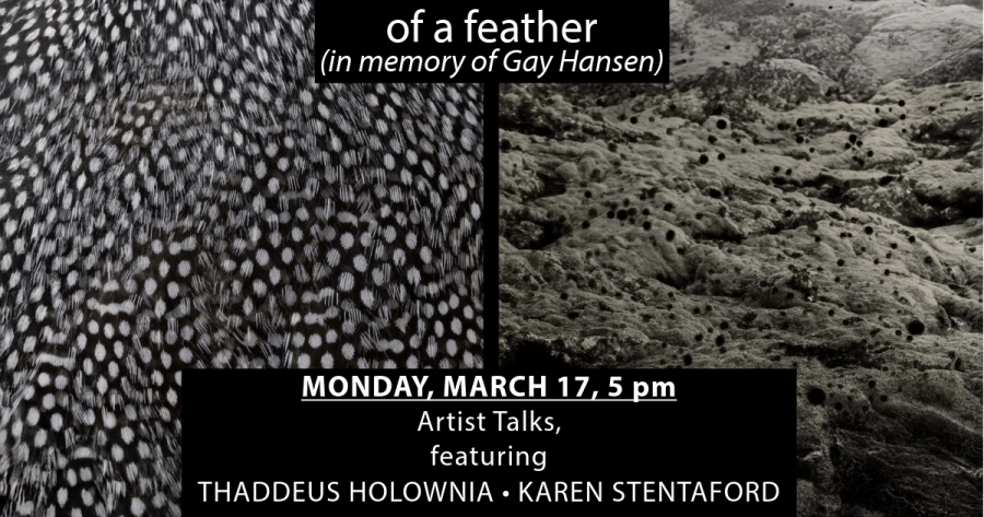 of a feather artist talk banner March 17