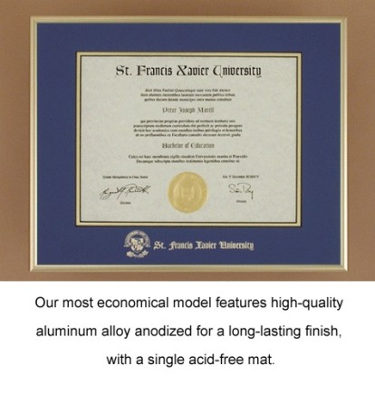 A framed certificate with a blue border and gold trim
