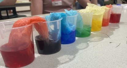 Rainbow